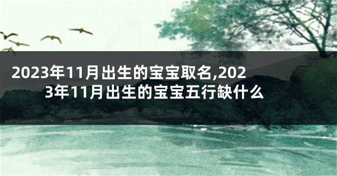 2023年11月出生的宝宝取名,2023年11月出生的宝宝五行缺什么