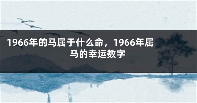 1966年的马属于什么命，1966年属马的幸运数字