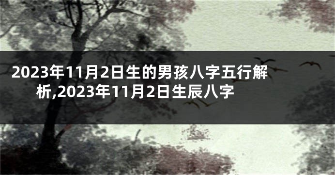 2023年11月2日生的男孩八字五行解析,2023年11月2日生辰八字