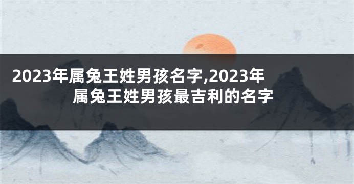 2023年属兔王姓男孩名字,2023年属兔王姓男孩最吉利的名字