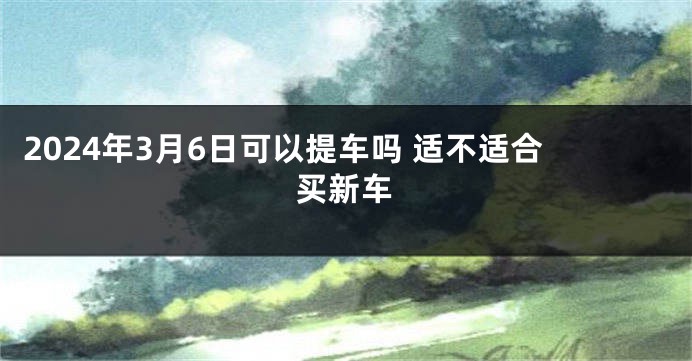 2024年3月6日可以提车吗 适不适合买新车