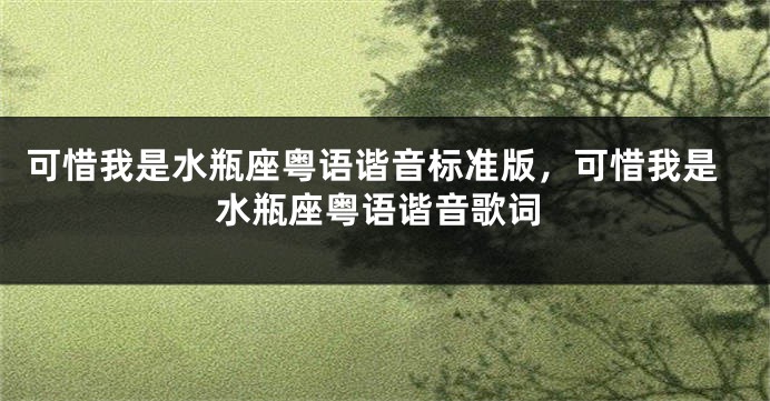 可惜我是水瓶座粤语谐音标准版，可惜我是水瓶座粤语谐音歌词