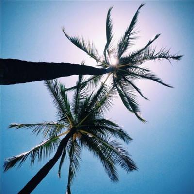 bob体育下载地址