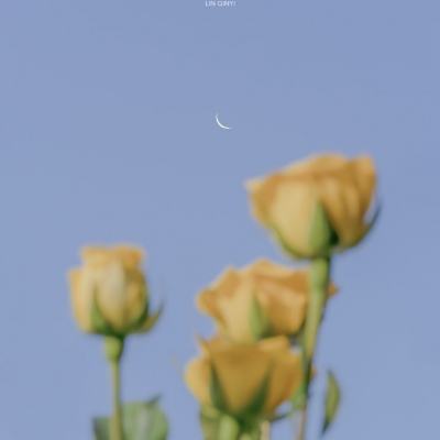 星空体育网站入口