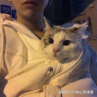 ManBetX客户端登录