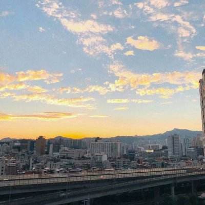 大彩澳app下载